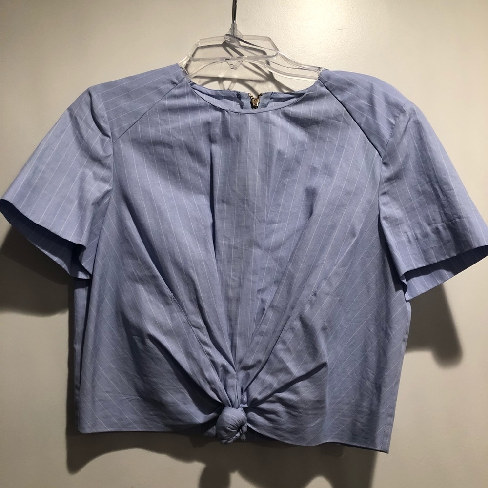 Zara crop top